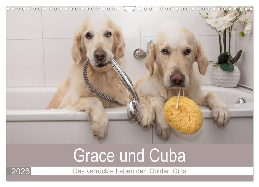 Grace und Cuba - Das verrückte Leben der Golden Girls (Wandkalender 2026 DIN A3 quer) CALVENDO Monatskalender