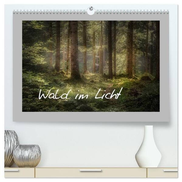 Wald im Licht (hochwertiger Premium Wandkalender 2026 DIN A2 quer) Kunstdruck in Hochglanz