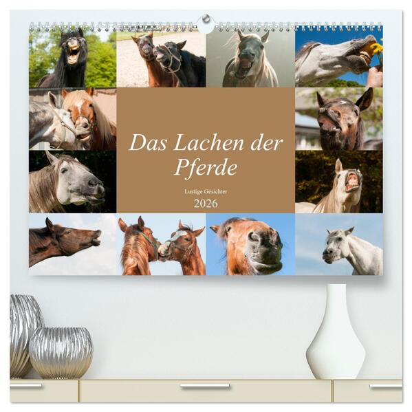 Das Lachen der Pferde - Lustige Gesichter (hochwertiger Premium Wandkalender 2026 DIN A2 quer) Kunstdruck in Hochglanz