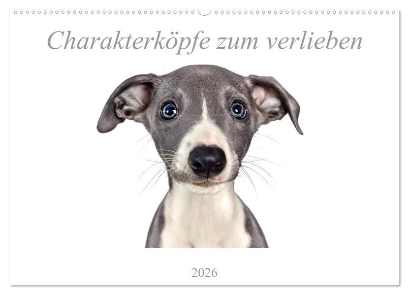 Charakterköpfe zum verlieben (Wandkalender 2026 DIN A2 quer) CALVENDO Monatskalender