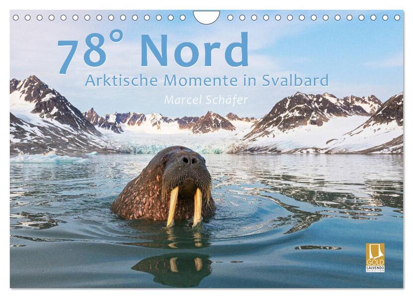 78° Nord - Arktische Momente in Svalbard (Wandkalender 2026 DIN A4 quer) CALVENDO Monatskalender
