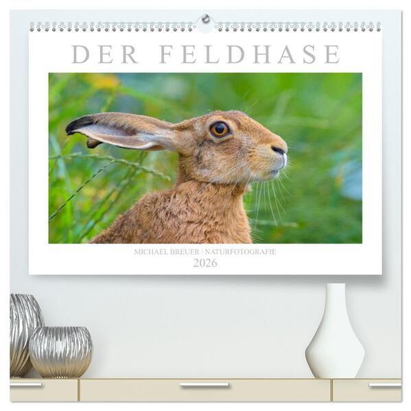 Der Feldhase (hochwertiger Premium Wandkalender 2026 DIN A2 quer) Kunstdruck in Hochglanz