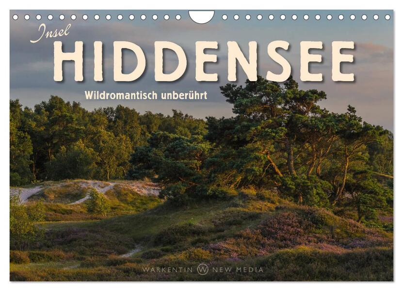 Insel Hiddensee - Wildromantisch unberührt (Wandkalender 2026 DIN A4 quer) CALVENDO Monatskalender