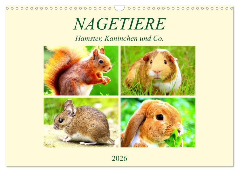 Nagetiere. Hamster Kaninchen und Co. (Wandkalender 2026 DIN A3 quer) CALVENDO Monatskalender