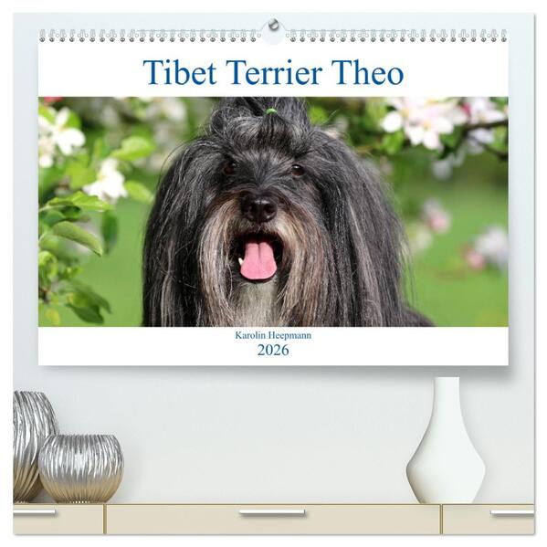 Tibet Terrier Theo (hochwertiger Premium Wandkalender 2026 DIN A2 quer) Kunstdruck in Hochglanz