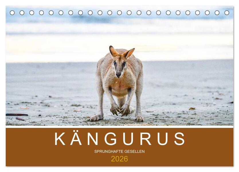 Kängurus sprunghafte Gesellen (Tischkalender 2026 DIN A5 quer) CALVENDO Monatskalender