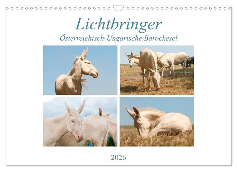 Lichtbringer - Österreichisch-Ungarische Barockesel (Wandkalender 2026 DIN A3 quer) CALVENDO Monatskalender