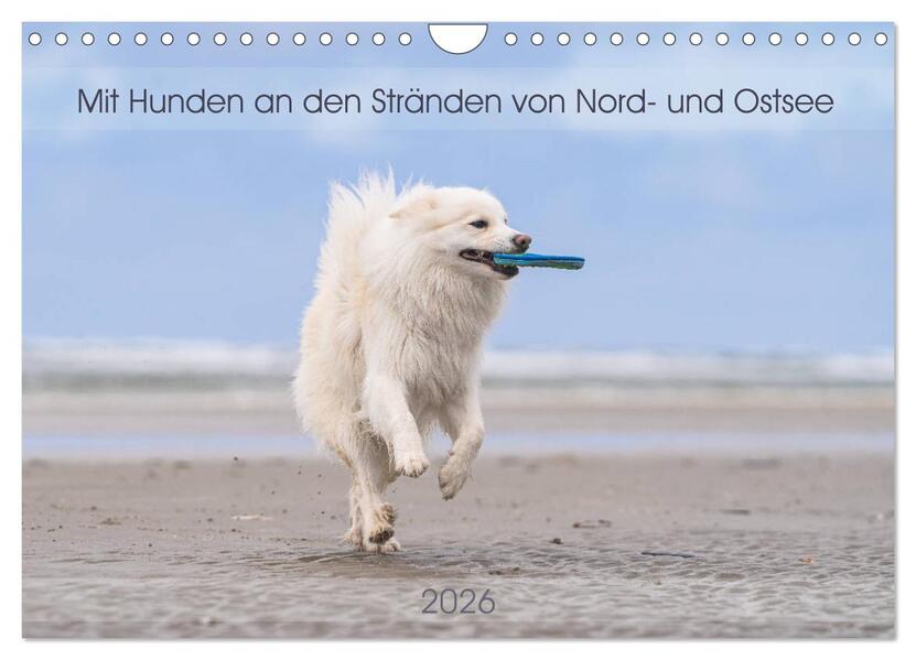 Mit Hunden an den Stränden von Nord- und Ostsee (Wandkalender 2026 DIN A4 quer) CALVENDO Monatskalender