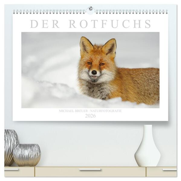 Der Rotfuchs (hochwertiger Premium Wandkalender 2026 DIN A2 quer) Kunstdruck in Hochglanz