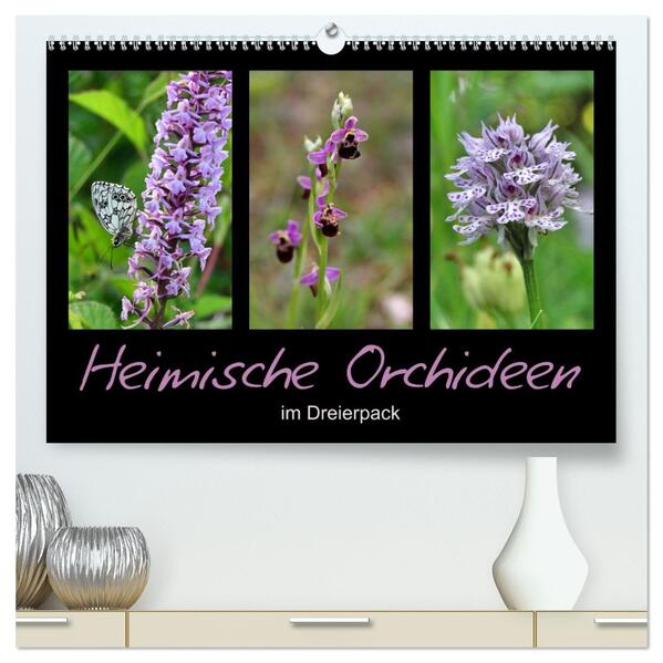 Heimische Orchideen im Dreierpack (hochwertiger Premium Wandkalender 2026 DIN A2 quer) Kunstdruck in Hochglanz