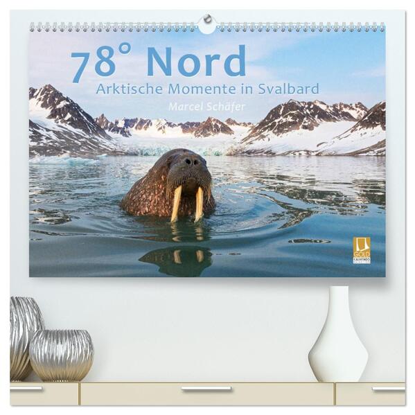 78° Nord - Arktische Momente in Svalbard (hochwertiger Premium Wandkalender 2026 DIN A2 quer) Kunstdruck in Hochglanz
