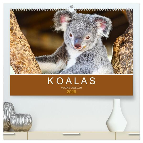 Koalas putzige Gesellen (hochwertiger Premium Wandkalender 2026 DIN A2 quer) Kunstdruck in Hochglanz