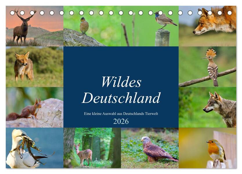 Wildes Deutschland (Tischkalender 2026 DIN A5 quer) CALVENDO Monatskalender