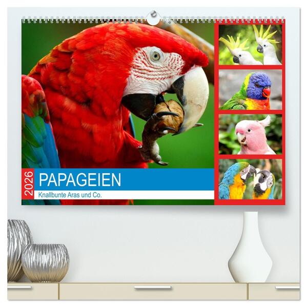 Papageien. Knallbunte Aras und Co. (hochwertiger Premium Wandkalender 2026 DIN A2 quer) Kunstdruck in Hochglanz
