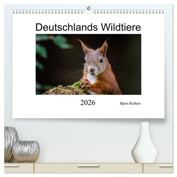 Deutschlands Wildtiere (hochwertiger Premium Wandkalender 2026 DIN A2 quer) Kunstdruck in Hochglanz