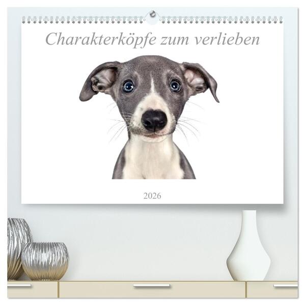 Charakterköpfe zum verlieben (hochwertiger Premium Wandkalender 2026 DIN A2 quer) Kunstdruck in Hochglanz