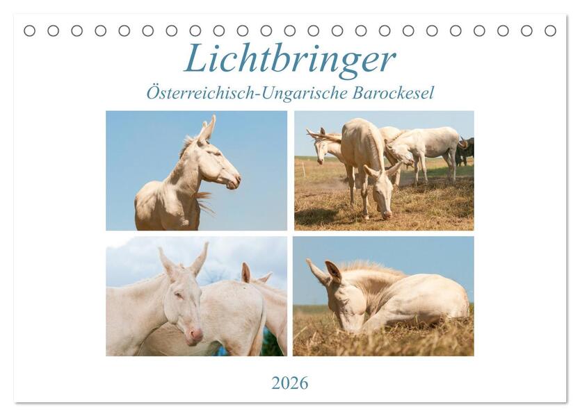 Lichtbringer - Österreichisch-Ungarische Barockesel (Tischkalender 2026 DIN A5 quer) CALVENDO Monatskalender