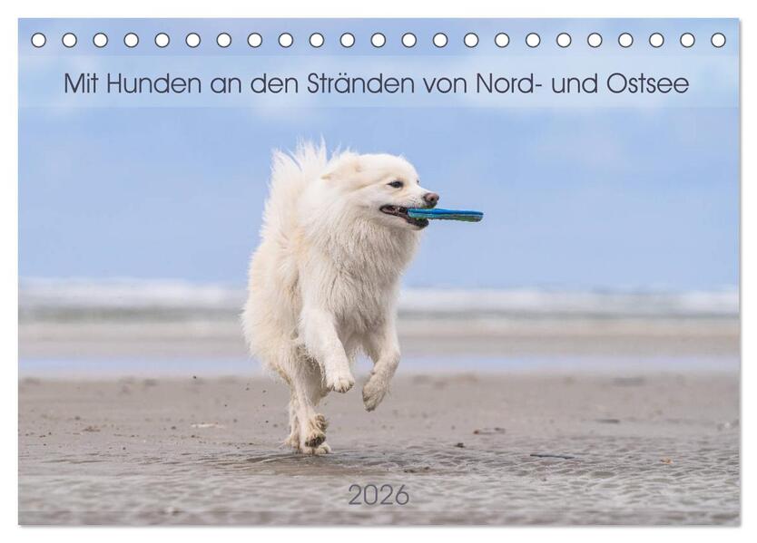 Mit Hunden an den Stränden von Nord- und Ostsee (Tischkalender 2026 DIN A5 quer) CALVENDO Monatskalender