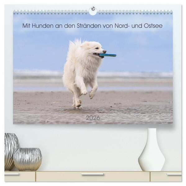 Mit Hunden an den Stränden von Nord- und Ostsee (hochwertiger Premium Wandkalender 2026 DIN A2 quer) Kunstdruck in Hochglanz
