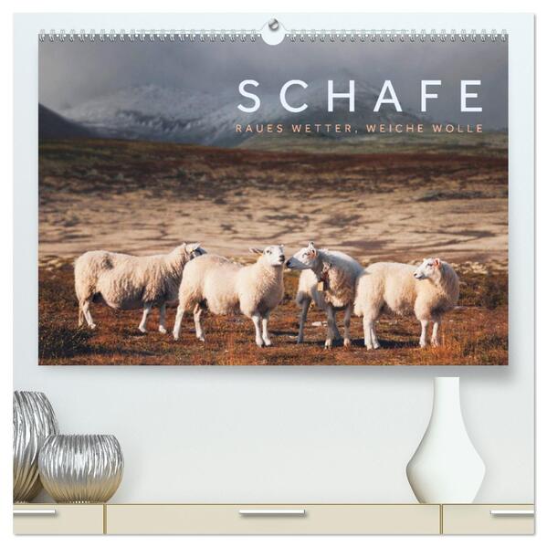 Schafe - Raues Wetter weiche Wolle (hochwertiger Premium Wandkalender 2026 DIN A2 quer) Kunstdruck in Hochglanz