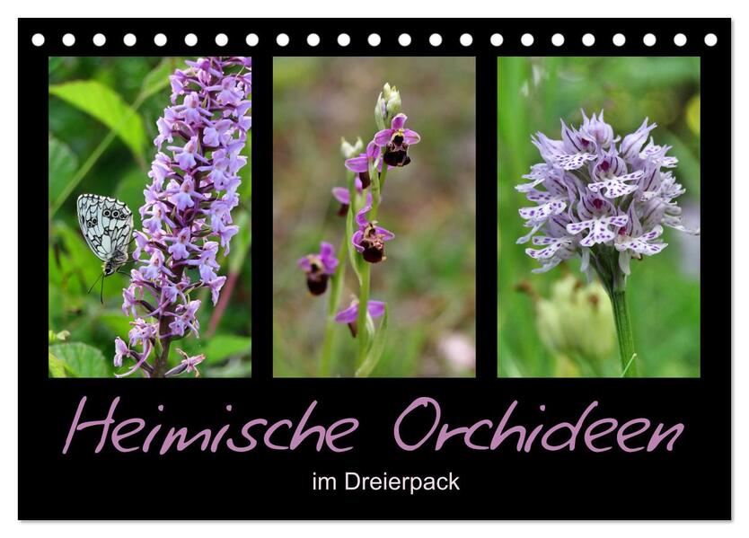Heimische Orchideen im Dreierpack (Tischkalender 2026 DIN A5 quer) CALVENDO Monatskalender