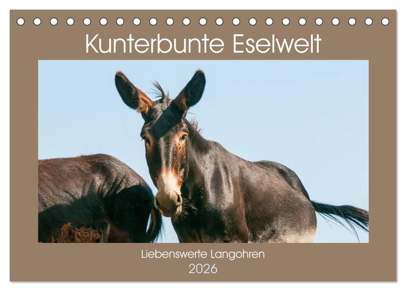 Kunterbunte Eselwelt - Liebenswerte Langohren (Tischkalender 2026 DIN A5 quer) CALVENDO Monatskalender