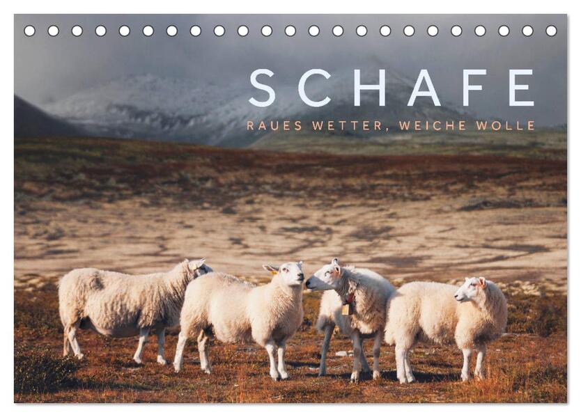 Schafe - Raues Wetter weiche Wolle (Tischkalender 2026 DIN A5 quer) CALVENDO Monatskalender