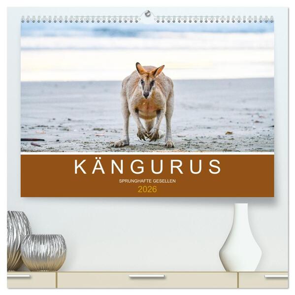 Kängurus sprunghafte Gesellen (hochwertiger Premium Wandkalender 2026 DIN A2 quer) Kunstdruck in Hochglanz