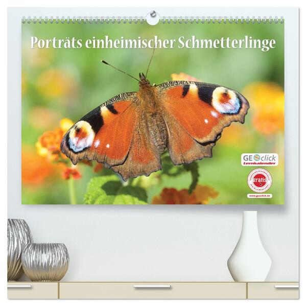 GEOclick Lernkalender: Porträts einheimischer Schmetterlinge (hochwertiger Premium Wandkalender 2026 DIN A2 quer) Kunstdruck in Hochglanz