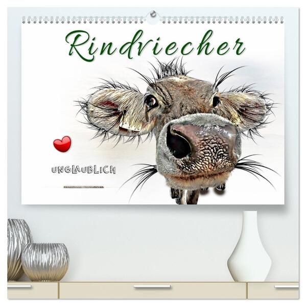 Rindviecher unglaublich (hochwertiger Premium Wandkalender 2026 DIN A2 quer) Kunstdruck in Hochglanz