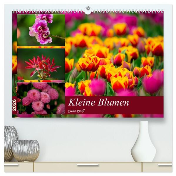 Kleine Blumen ganz groß (hochwertiger Premium Wandkalender 2026 DIN A2 quer) Kunstdruck in Hochglanz