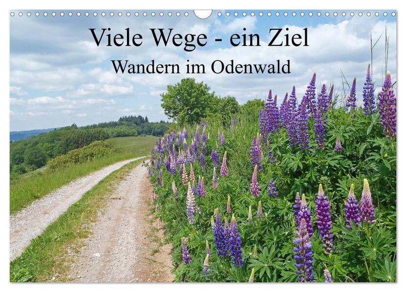 Viele Wege - ein Ziel Wandern im Odenwald (Wandkalender 2026 DIN A3 quer) CALVENDO Monatskalender