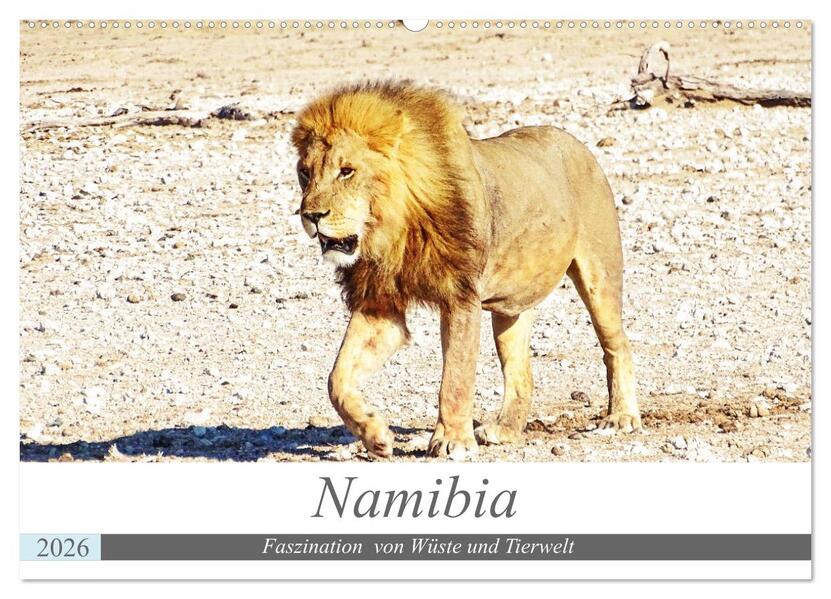 Namibia Faszination Wüste und Tierwelt (Wandkalender 2026 DIN A2 quer) CALVENDO Monatskalender