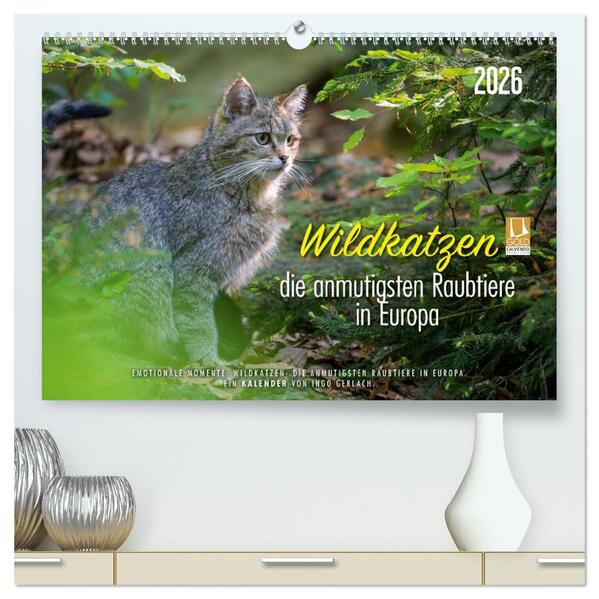 Wildkatzen - die anmutigsten Raubiere in Europa. (hochwertiger Premium Wandkalender 2026 DIN A2 quer) Kunstdruck in Hochglanz