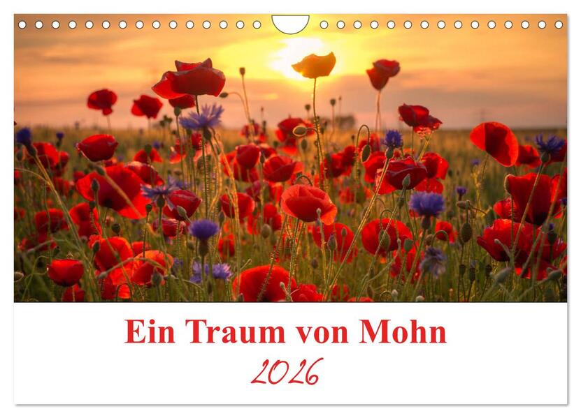 Ein Traum von Mohn (Wandkalender 2026 DIN A4 quer) CALVENDO Monatskalender