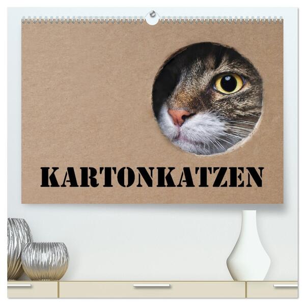 Karton Katzen (hochwertiger Premium Wandkalender 2026 DIN A2 quer) Kunstdruck in Hochglanz