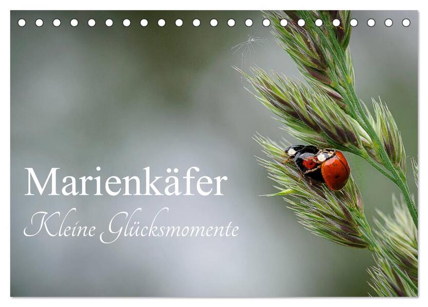 Marienkäfer - kleine Glücksmomente (Tischkalender 2026 DIN A5 quer) CALVENDO Monatskalender