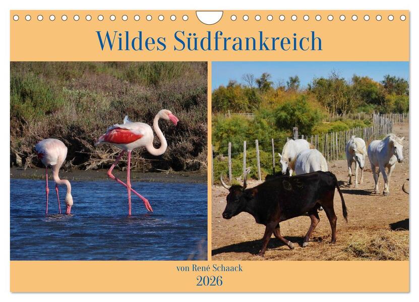 Wildes Südfrankreich (Wandkalender 2026 DIN A4 quer) CALVENDO Monatskalender