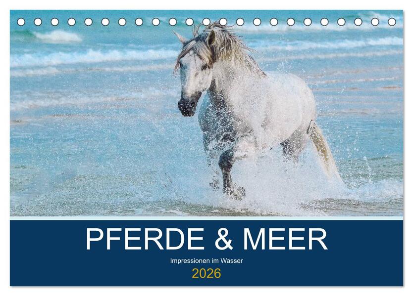 PFERDE & MEER (Tischkalender 2026 DIN A5 quer) CALVENDO Monatskalender