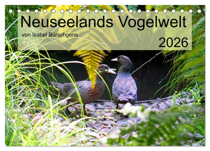 Neuseelands Vogelwelt (Tischkalender 2026 DIN A5 quer) CALVENDO Monatskalender
