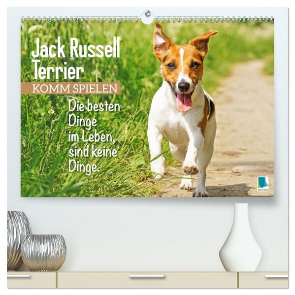 Jack Russell Terrier: Komm spielen (hochwertiger Premium Wandkalender 2026 DIN A2 quer) Kunstdruck in Hochglanz