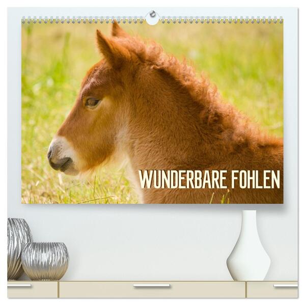 Wunderbare Fohlen (hochwertiger Premium Wandkalender 2026 DIN A2 quer) Kunstdruck in Hochglanz