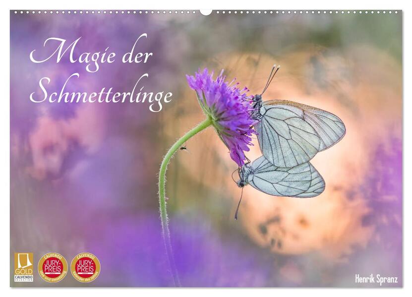 Magie der Schmetterlinge (Wandkalender 2026 DIN A2 quer) CALVENDO Monatskalender