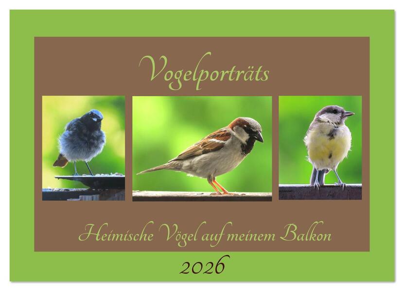Vogelporträts - Heimische Vögel auf meinem Balkon (Wandkalender 2026 DIN A2 quer) CALVENDO Monatskalender