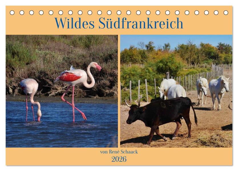 Wildes Südfrankreich (Tischkalender 2026 DIN A5 quer) CALVENDO Monatskalender