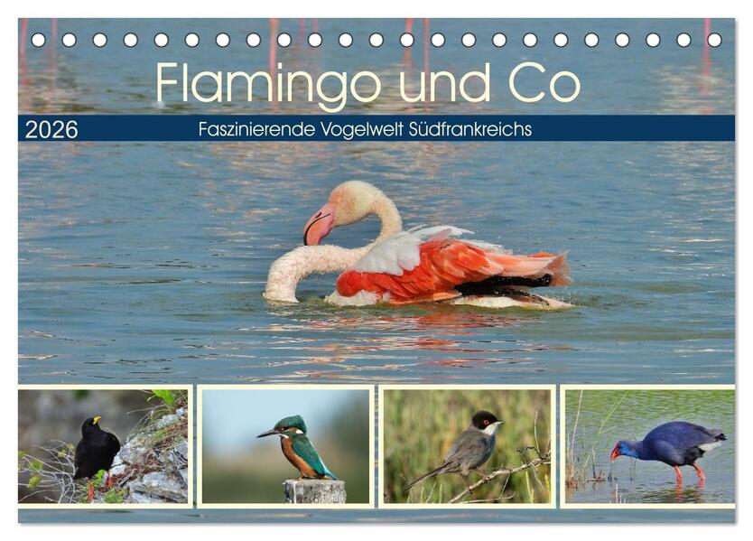 Flamingo und Co - Faszinierende Vogelwelt Südfrankreichs (Tischkalender 2026 DIN A5 quer) CALVENDO Monatskalender