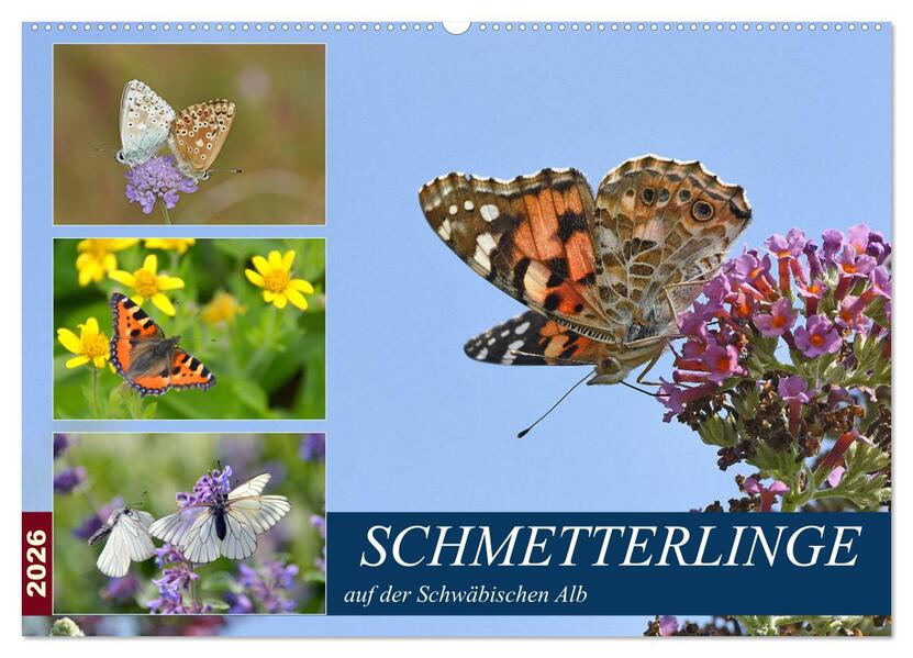Schmetterlinge auf der Schwäbischen Alb (Wandkalender 2026 DIN A2 quer) CALVENDO Monatskalender