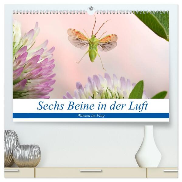 Sechs Beine in der Luft - Wanzen im Flug (hochwertiger Premium Wandkalender 2026 DIN A2 quer) Kunstdruck in Hochglanz