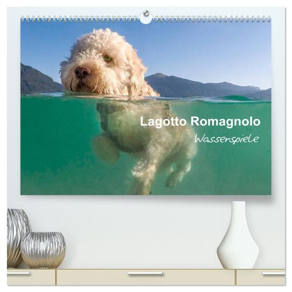 Lagotto Romagnolo - Wasserspiele (hochwertiger Premium Wandkalender 2026 DIN A2 quer) Kunstdruck in Hochglanz