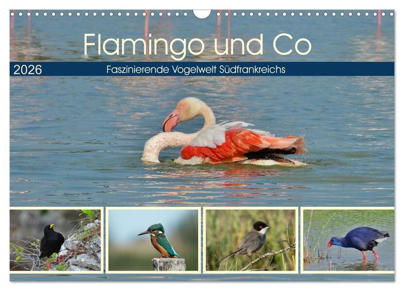 Flamingo und Co - Faszinierende Vogelwelt Südfrankreichs (Wandkalender 2026 DIN A3 quer) CALVENDO Monatskalender